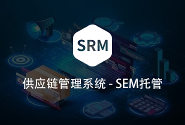 供應(yīng)鏈管理系統(tǒng)SEM托管
